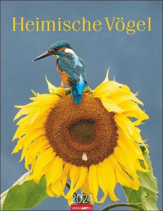 Heimische Vögel Kalender 2024