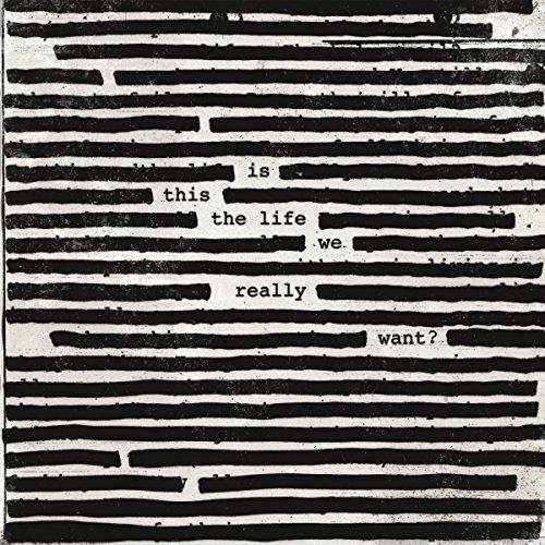 Is This The Life We Really Want? [Vinyl LP]