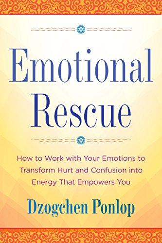 Emotional Rescue: How to Work with Your Emotions to Transform Hurt and Confusion into Energy That Empowers You