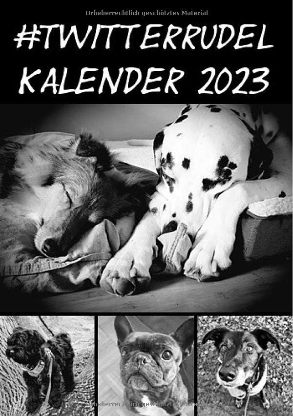 Kalender 2023 A5 Ringbuch: #twitterrudel Die coolsten Dogs im Internet