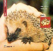 Das kreative Sachbuch Igel (Lernmaterialien)