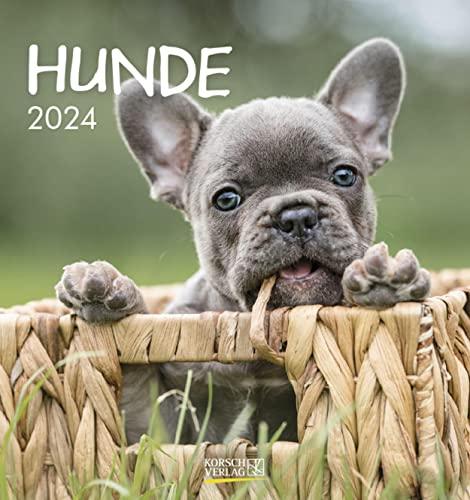 Hunde 2024: aufstellbarer Postkartenkalender