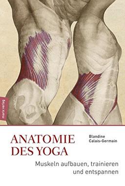 Anatomie im Yoga: Muskeln aufbauen, trainieren und entspannen