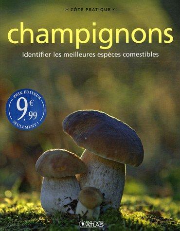 Champignons : identifier les meilleures espèces comestibles