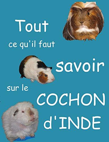 Tout ce qu'il faut savoir sur le cochon d'inde