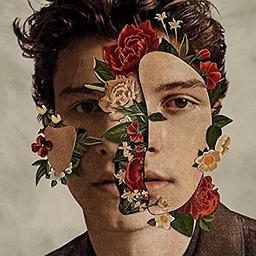 Shawn Mendes (Deluxe Edt.)