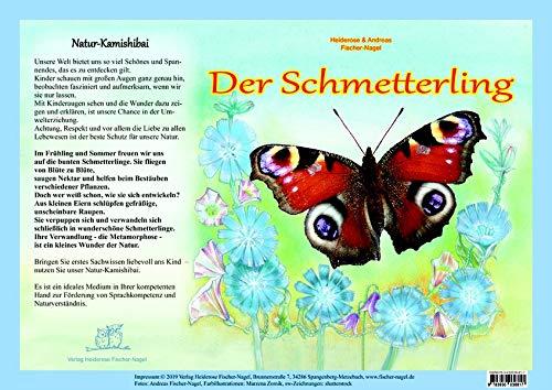 Natur-Kamishibai - Der Schmetterling