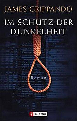 Im Schutz der Dunkelheit: Roman (Ullstein Taschenbuch)