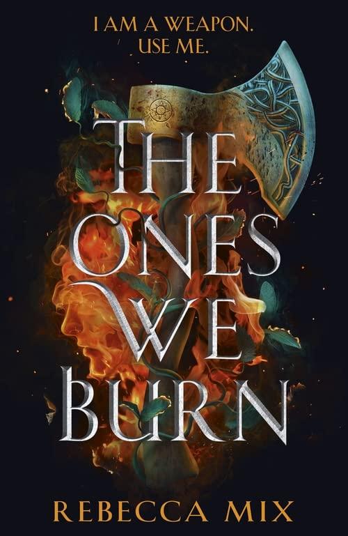 The Ones We Burn: the New York Times bestselling dark epic young adult fantasy