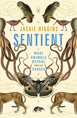 Sentient: What Animals Reveal About Our Senses