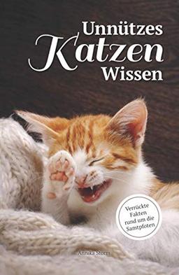 Unnützes Katzen-Wissen: Verrückte Fakten rund um die Samtpfoten