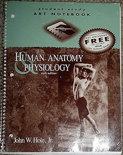 Human Anatomy and Physiology