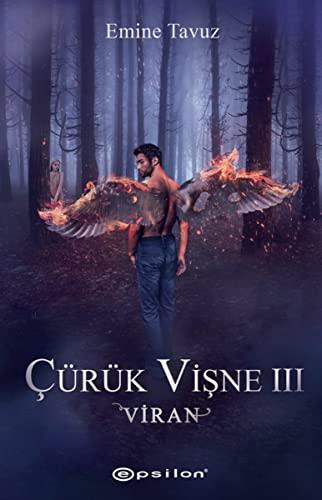 Cürük Visne 3 - Viran