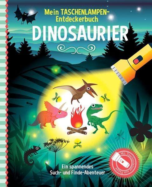 Mein Taschenlampen-Entdeckerbuch - Dinosaurier: Mit vorgestanzter Papp-Taschenlampe zum Herauslösen kannst du verborgene Bilder sichtbar machen, für Kinder ab 6 Jahren