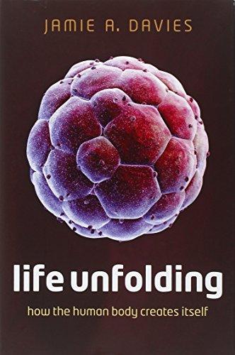 Life Unfolding: How the Human Body Creates Itself