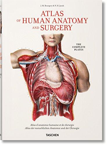 Atlas of human anatomy and surgery : complete edition of the complete coloured plates. Atlas d'anatomie humaine et de chirurgie : traité complet de l'anatomie de l'homme : édition complète des planches coloriées. Atlas der menschlichen Anatomie und Chir...