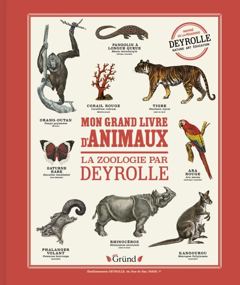 Mon grand livre d'animaux : la zoologie par Deyrolle