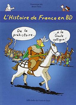 L'histoire de France en BD. Vol. 1. De la préhistoire à la Gaule celtique !