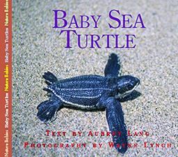 Baby Sea Turtle (Nature Babies)