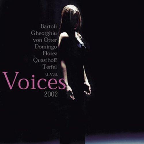 Voices 2002