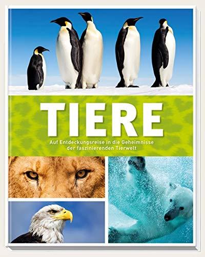 Tiere: Auf Entdeckungsreise in die Geheimnisse der faszinierenden Tierwelt