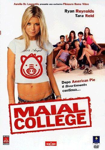 Maial college [IT Import]