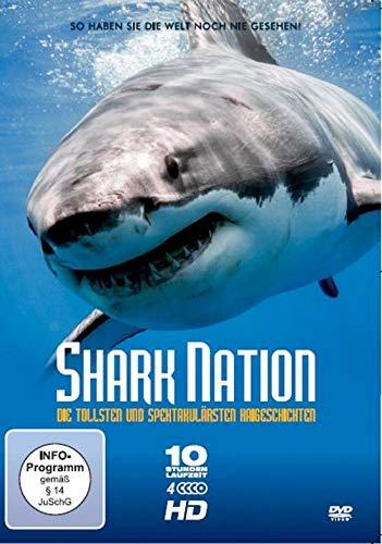 Shark Nation - Die tollsten und unglaublichsten Haigeschichten [4 DVDs]