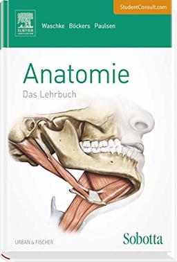 Sobotta Lehrbuch Anatomie: Mit StudentConsult-Zugang