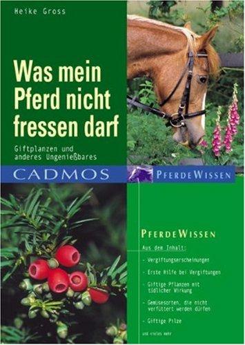 Was mein Pferd nicht fressen darf: Giftpflanzen und anderes Ungeniessbares