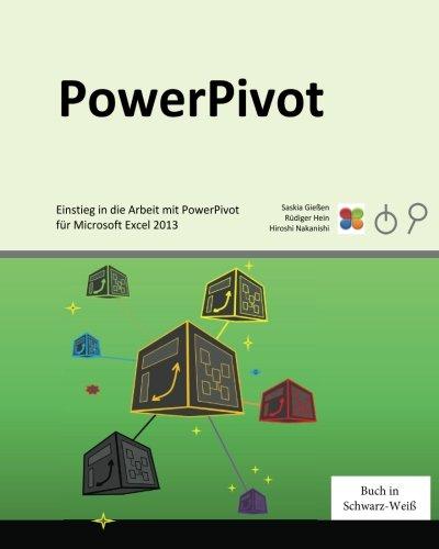 PowerPivot: Einstieg in die Arbeit mit PowerPivot für Microsoft Excel 2013