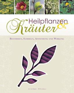 Heilpflanzen & Kräuter