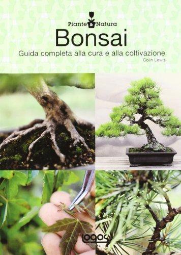 Piante e natura. Bonsai