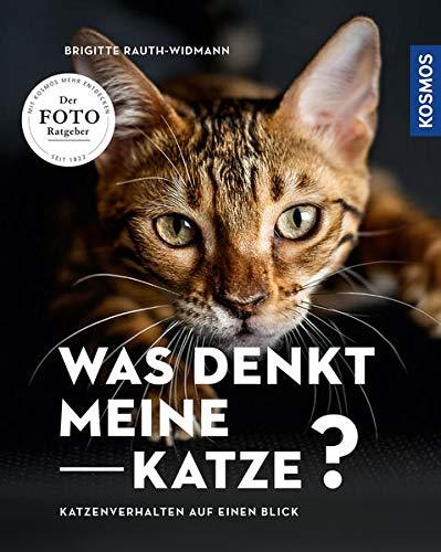 Was denkt meine Katze: Katzenverhalten auf einen Blick