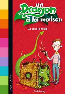 Un dragon à la maison. Vol. 1. Ca sent le brûlé !