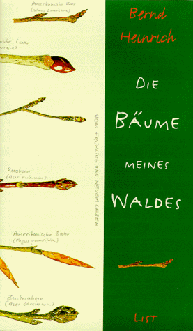 Die Bäume meines Waldes