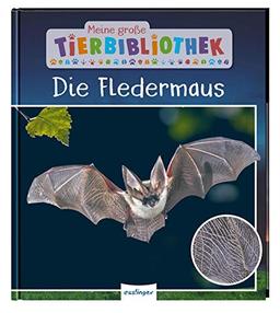 Die Fledermaus (Meine große Tierbibliothek)