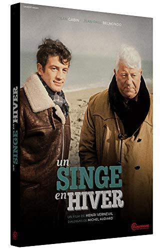 Un singe en hiver [FR Import]