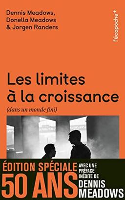 Les limites à la croissance (dans un monde fini) : le rapport Meadows, 30 ans après