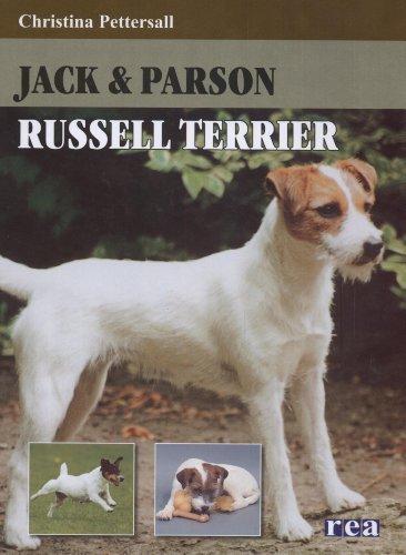 Jack & Parson Russell terrier