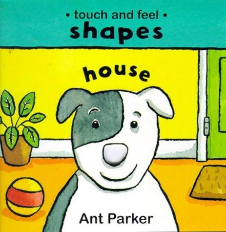 Touch and Feel: Shapes in the House (Touch & feel: Shapes)