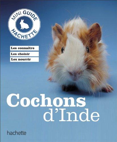 Cochons d'Inde : les connaître, les choisir, en prendre soin