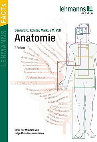 Anatomie: Lehmanns FACTS