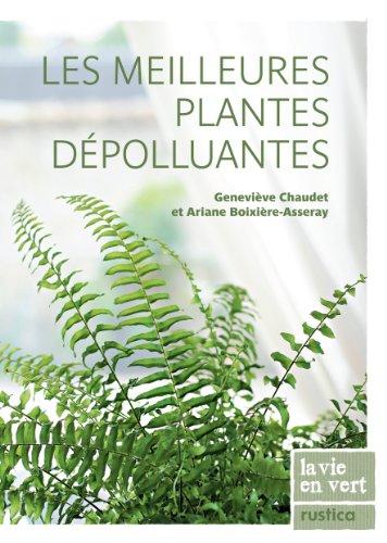 Les meilleures plantes dépolluantes