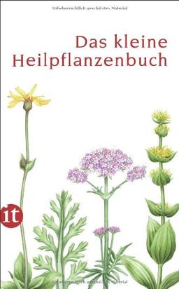 Das kleine Heilpflanzenbuch (insel taschenbuch)