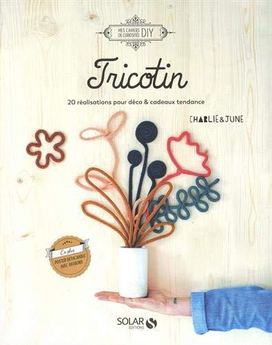 Tricotin : 20 réalisations pour déco & cadeaux tendance