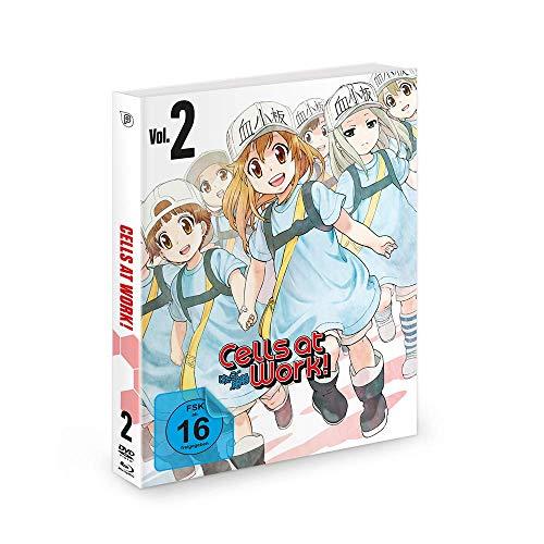 Cells at Work! - Vol. 2 - [DVD & Blu-ray] Mediabook