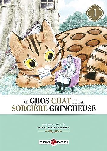 Le gros chat et la sorcière grincheuse. Vol. 1