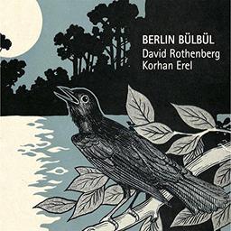 Berlin Bulbul