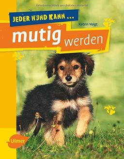 Jeder Hund kann mutig werden: Mutmach-Übungen für ängstliche Hunde