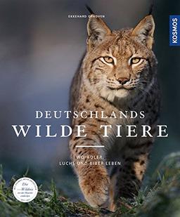 Deutschlands wilde Tiere: Wo Adler, Dachs und Biber leben